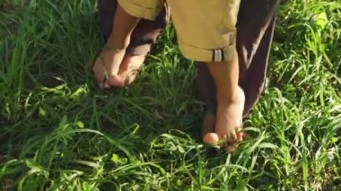 Baba ve oğul yeşil çimenlerde yürürken eğleniyorlar, küçük çocuk babasının ayaklarının üzerinde duruyor, ilk adımlar, sevgi ve ilgi, çevreye aşinalık, aile eğlencesi