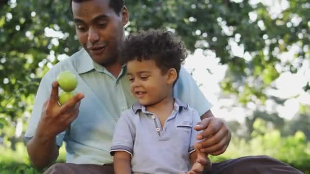 Padre Multiétnico Tratando Hacer Malabares Con Manzanas Mostrando Trucos Hijo — Vídeo de stock