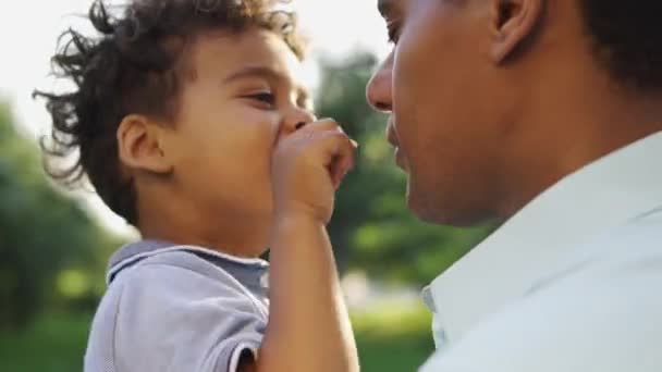 小さな男の子が遊んで 父の鼻に触れ 父は優しく子供にキスし — ストック動画