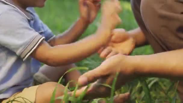 快乐的父亲和儿子坐在草地上玩着帕特蛋糕 玩得很开心 — 图库视频影像