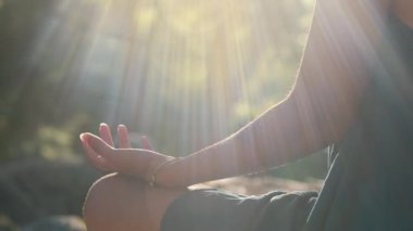 Güneşe karşı meditasyonda dizdeki bir elin yakın çekimi. Güneş ışıkları ve ormanın yeşil bulanık arkaplanı.