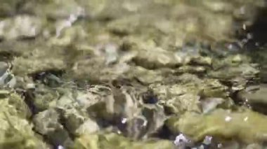 Yerde çakıl taşları ve güneş ışığı lekelerini yansıtan yüzey dokusu olan berrak bir su akışının yavaş çekim görüntüsü.
