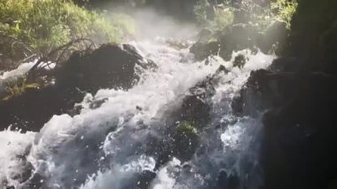 Bir ormana gömülü kayalık bir derenin yavaş çekim görüntüleri. Sabah erken saatlerde güneş ışığı suyun üzerindeki sisi aydınlatıyor.
