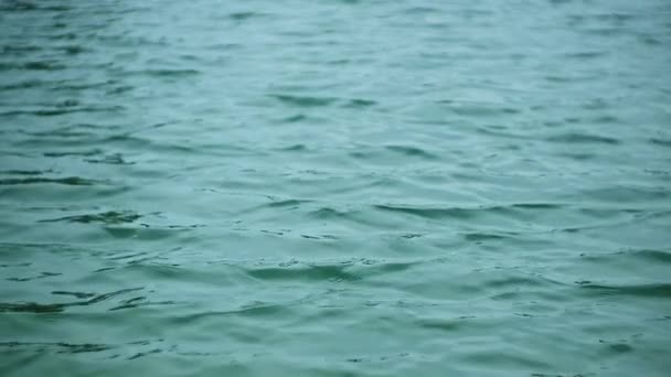 Текстурована Бірюзова Поверхня Води Озера Якими Бризами Вітру Рухаються Зліва — стокове відео