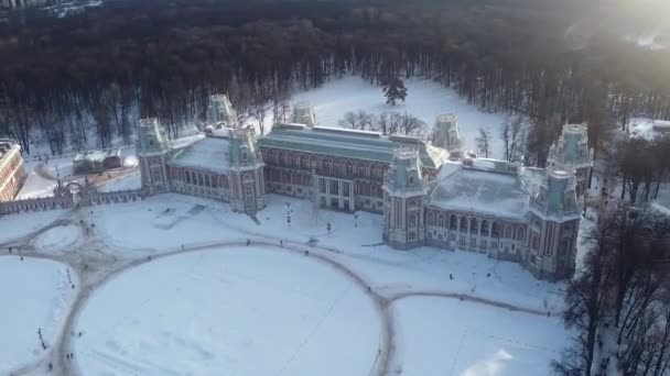 Tsaritsyno Sarayı Üzerinde Uçağı Moskova Rusya — Stok video