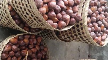 Elektrikli scooter sürerken yakalandı. Bir insan toprak yolda kısa bir yolculuk için scooter kullanır. Bu kişisel kentsel hareketlilik ve ekolojik bilinci gösteriyor.