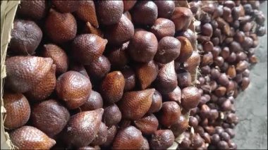 Elektrikli scooter sürerken yakalandı. Bir insan toprak yolda kısa bir yolculuk için scooter kullanır. Bu kişisel kentsel hareketlilik ve ekolojik bilinci gösteriyor.