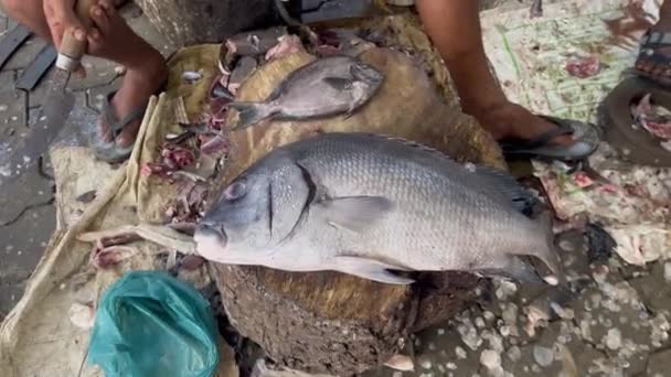 魚のひれを取り除く漁師 — ストック動画