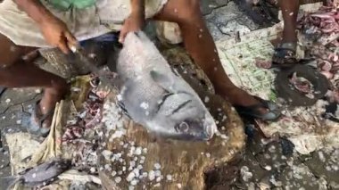 Bir balığın yüzgeçlerini ve derisini yüzen kişinin hızlandırılmış videosu