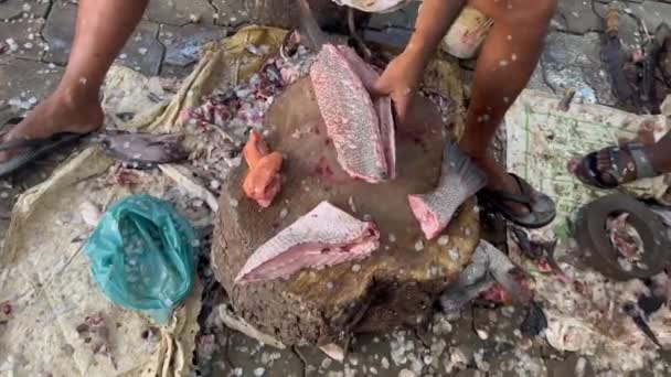 Zicht Fish Snijden Een Houten Plaat Markt — Stockvideo