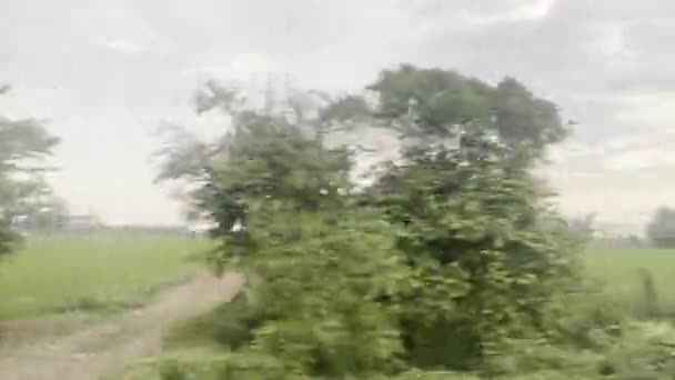 Widok Okna Samochodu Pobocze Drogi Ciągu Dnia — Wideo stockowe