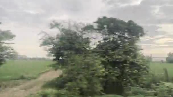 Blick Aus Dem Autofenster Auf Die Straßenseite Vorbei Grünem Wald — Stockvideo