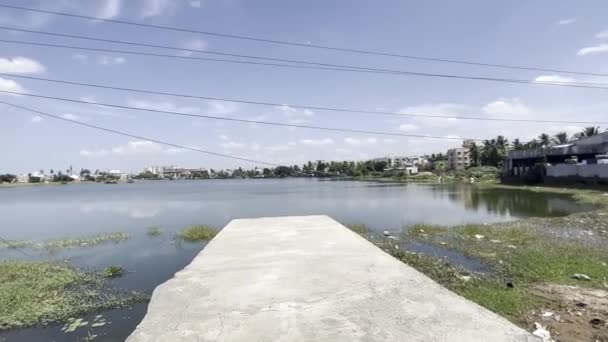 Mały Most Boku Pływającej Trawy Nad Jeziorem — Wideo stockowe