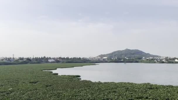 Stock video Standing waves movement in the lake