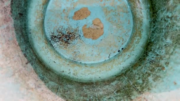 Lange Zeit Gelagertes Wasser Von Würmern Befallen — Stockvideo