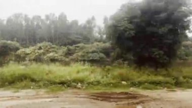 Orman bölgesindeki ağaçların arasındaki göleti geçiyorum.