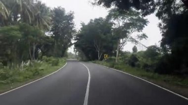 Dikiz aynasından gözlenen soğuk orman yolu yolculuğu