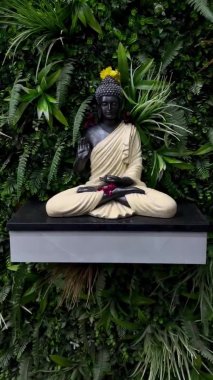 Buddhist god statue placed in front of grass background