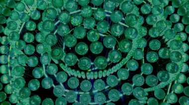 Closer view of a glowing green light crystal lamp