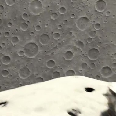 3D görüntüleme. siyah ve beyaz resimleme.