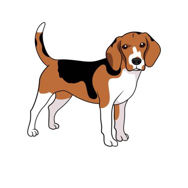 Beagle dog doodle stili vektör illüstrasyon çizgisi klip sanatı