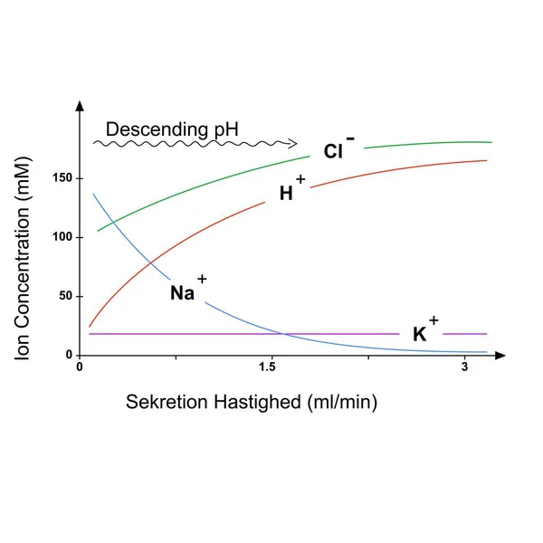 İyon Konsantrasyonu Salgıya Karşı Haşlanmış Çizelge Gastrointestinal (Gi) ilgili vektör çizelgesi