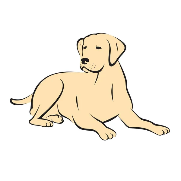 Labrador Retriever Dog Doodle Vektor Illustration Auf Weißem Hintergrund Clip — Stockvektor