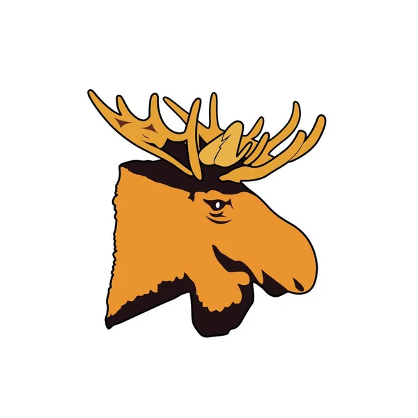 Moose Head Illustrations Royalty Free Vector Graphics Clip Art — Stock Vector
