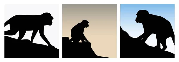 Monkey Cliff Mountain Silhouette Different Positions Vector Illustration — Stock Vector