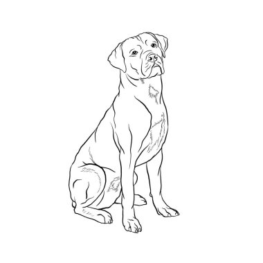 Afador köpeği karalama tarzı çizim vektörü siyah ve beyaz çizim