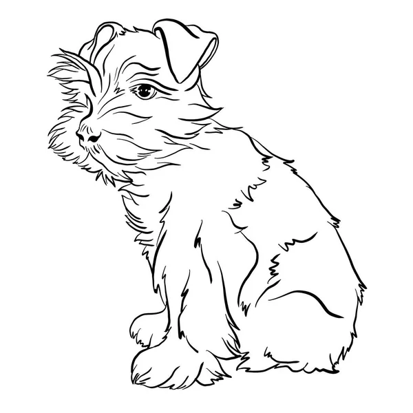 アフェヌープ犬の品種黒と白のラインの描画ドードルスタイルのベクトルイラスト — ストックベクタ