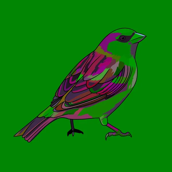 Dům Vrabec Passer Domestics Pták Červeně Vyjmenovaný Pták Vektor Ilustrační — Stockový vektor