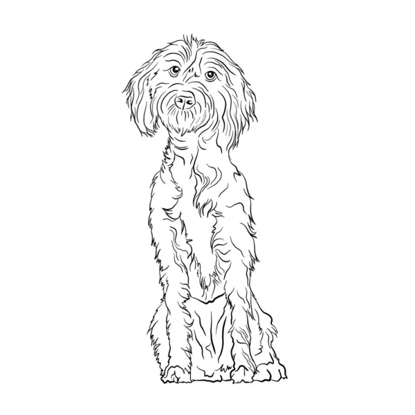 恐れ犬の品種のドアスタイルの線画ベクトル黒と白のイラスト — ストックベクタ