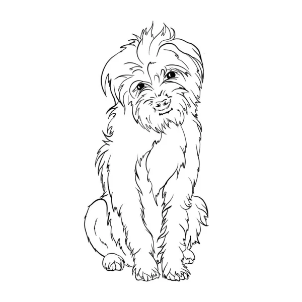 Bordure Terrier Chien Race Doodle Style Ligne Dessin Vecteur Noir — Image vectorielle