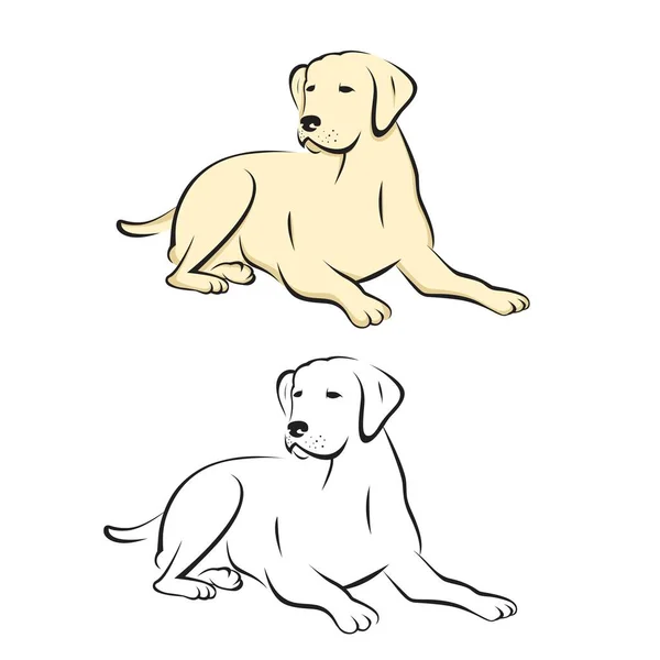Labrador Retriever Cão Sentado Deitado Chão Ilustração Vetor — Vetor de Stock