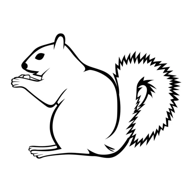Eastern Gray Squirrel Sciurus Carolinensis Eenvoudige Stijl Zwart Wit Vector — Stockvector