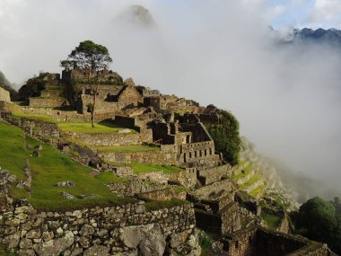 Machu picchu, Peru-Ağustos