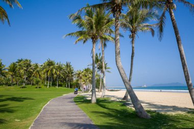 ClearWater Bay, Hainan, Çin 'de palmiye ağaçları ve mavi gökyüzü olan güzel tropikal plajlar..