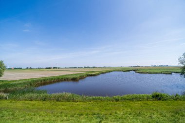 Friese Meren 'in manzarası, Hollanda
