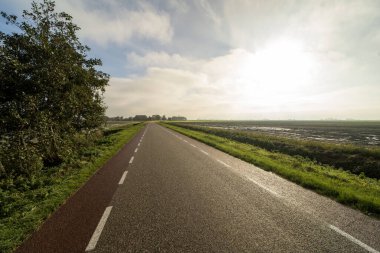 Hollanda 'nın Ferwert kentinin dışındaki kır manzaraları