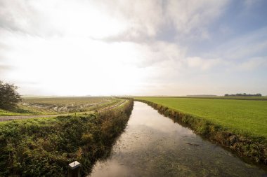 Hollanda 'nın Ferwert kentinin dışındaki kır manzaraları