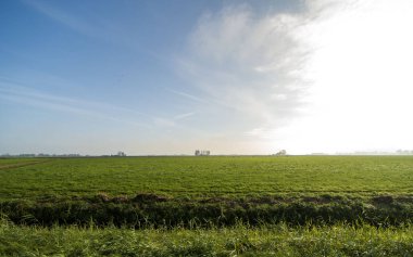 Blije, Hollanda yakınlarındaki tarım alanları