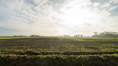 Blije, Hollanda yakınlarındaki tarım alanları