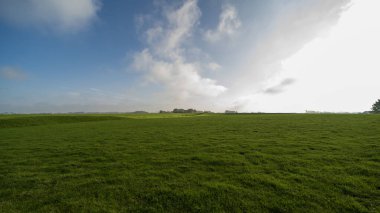 Hollanda 'nın Noard-East Fryslan kentindeki tarım arazileri