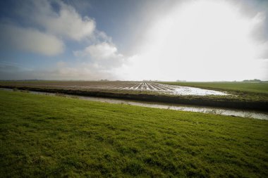 Hollanda, Holwert yakınlarındaki tarım alanları