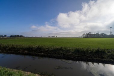 Hollanda, Ternaard 'ın dışındaki tarlalar