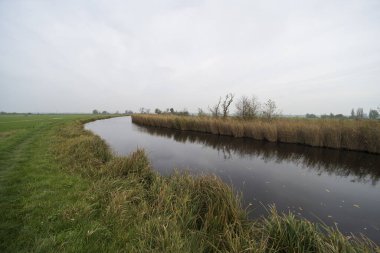 Sonbahar sırasındaki Winkel Nehri, Hollanda