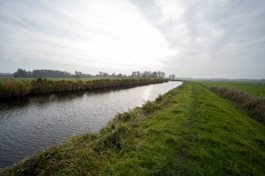Sonbahar sırasındaki Winkel Nehri, Hollanda