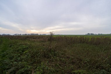 Doğa rezervi Waverhoek sonbaharda Hollanda 'da