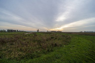 Doğa rezervi Waverhoek sonbaharda Hollanda 'da